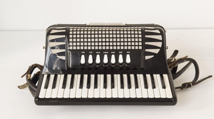 1920s excelsior accordion